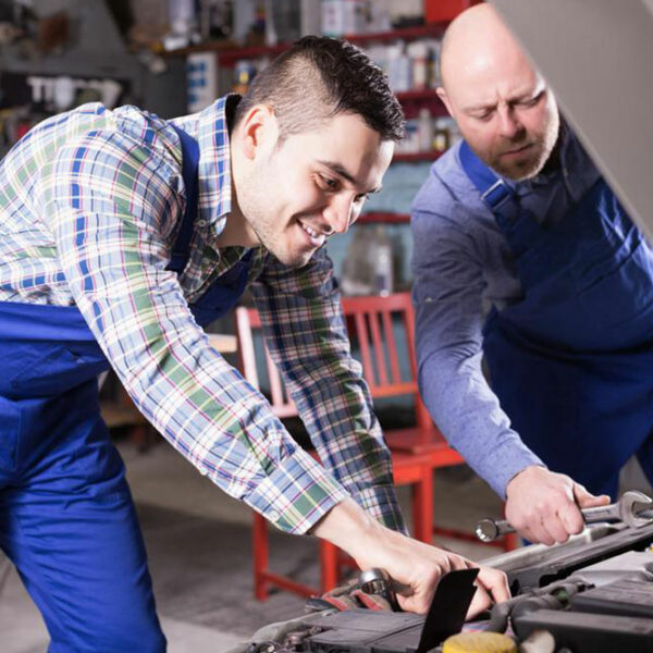 Dickies – Everything you need to know