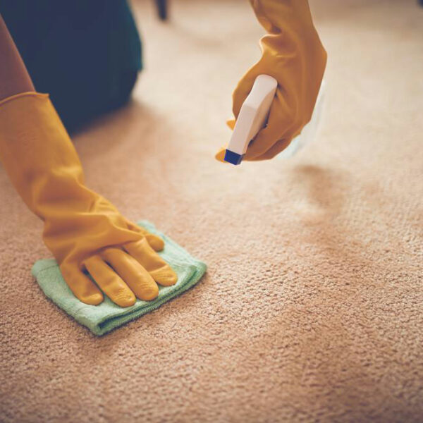 Here’s why and how to choose the best carpet stain removers