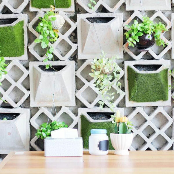Here’s how you can brighten up your ordinary interiors using plants