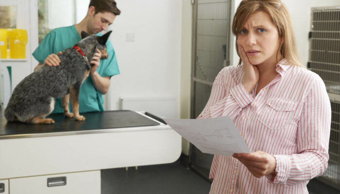 Pet Insurance Cover For Euthanasia