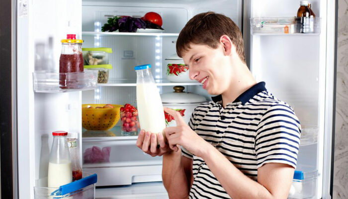 Refrigerators – Choosing from the popular brands