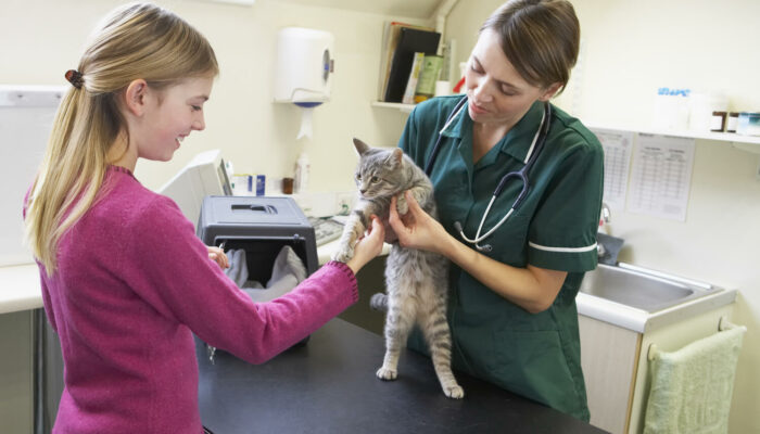 Understanding Vaccination Coverage In Pet Insurance Policies