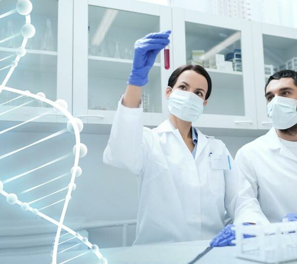 Guidelines To Find And Choose The Best Laboratory To Conduct Ancestry Dna Test