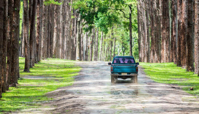 Here’s how useful pickup trucks are