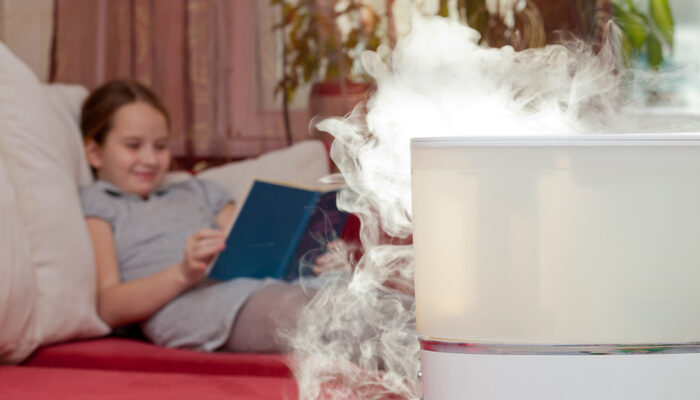 Top Questions To Ask Before Buying An Air Purifier