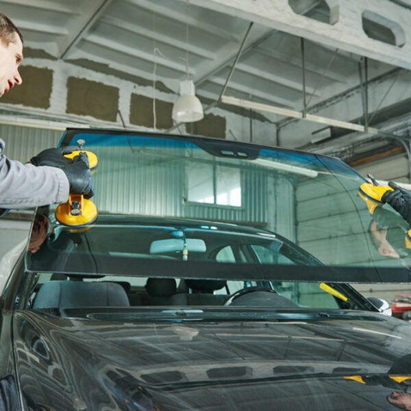 The various windshields for your vehicle